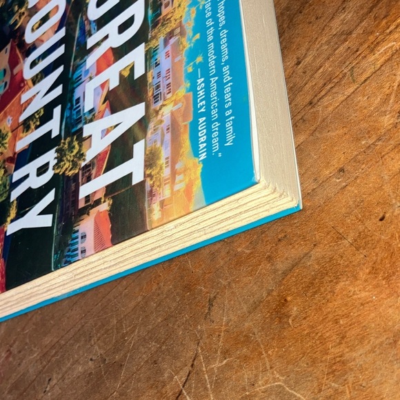 A Great Country by Shilpi Somaya Gowda - Picture 10 of 14